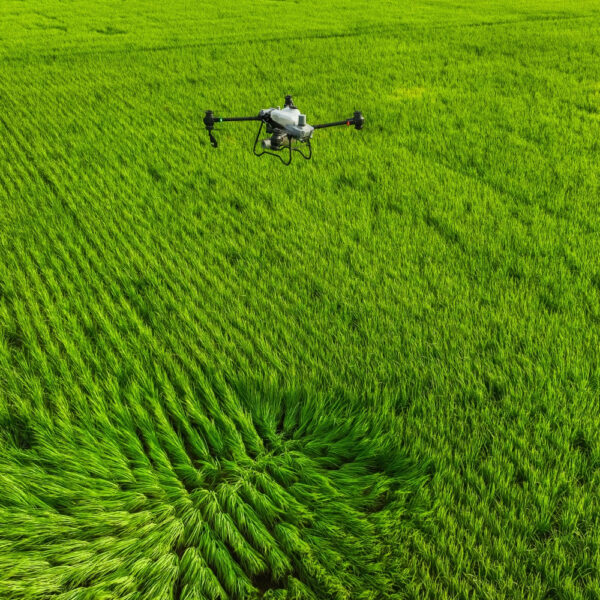 Drone de Pulverización DJI Agras - T50 - Imagen 2