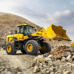 Pala Cargadora - L 956 FH